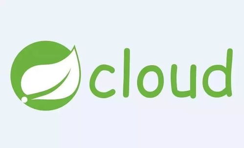 Spring Cloud在國內中小型互聯(lián)網銷售公司的應用可行性分析
